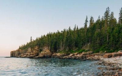 Scaling Impact: How a Canadian Environmental Nonprofit Streamlined Grant Tracking and quadrupled their budget